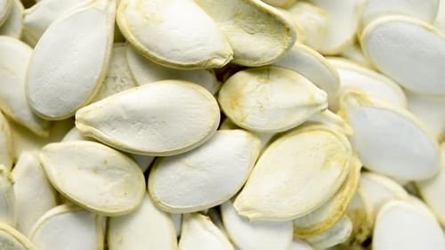 Close up of pumpkin seeds rotating. Flat plane. Top view