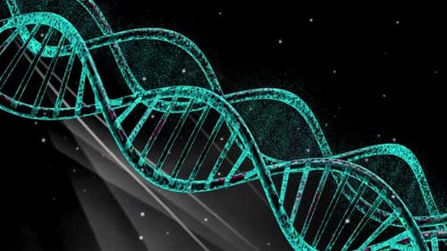 DNA-Animation V9
