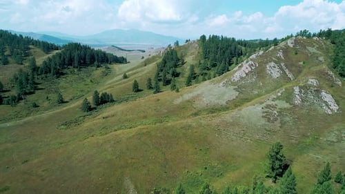Aerial Panoramic View of Green Hills with Trees in Highlads of Altai Region Russia Beautiful Summer