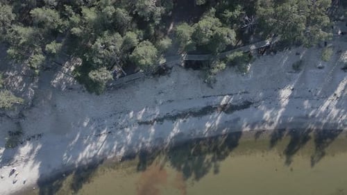 Drone Video of Baltic Bay Shore and Forest Trail, Top View