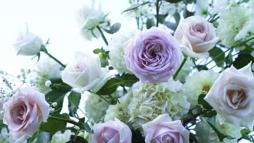 Light Color Fresh Rose Flowers Ornaments During Wedding Day. Close-up Shot