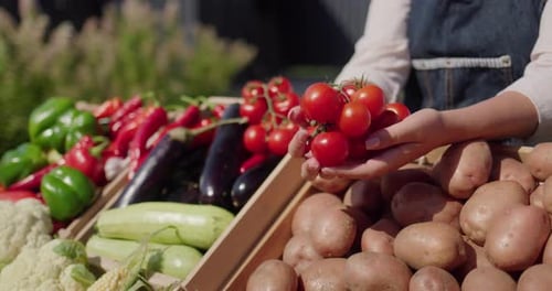 Fresh Produce at Outdoor Farm Stand