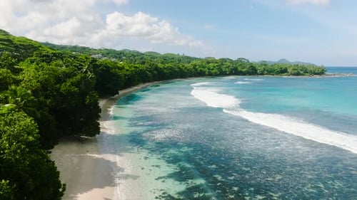 Sandy Beach with Turquoise Water and Dense Forest Seychelles