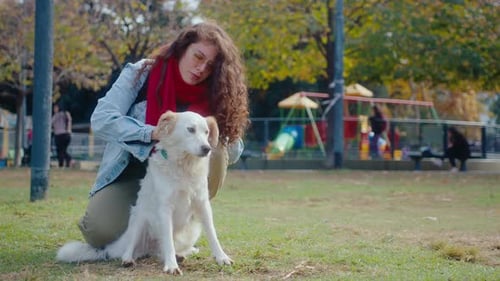 Careful Woman Petting Cute Dog in the Park