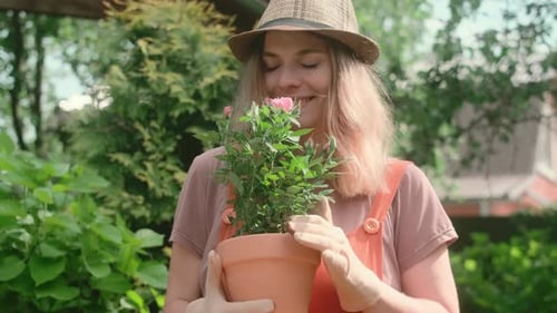Summer Gardening Portrait of Young Woman Holds Flowering Potted Plant in Hands