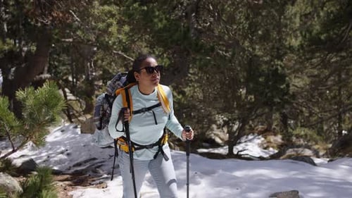 Black Woman Hiking in Snowy Forest with Walking Poles Enjoying Winter Adventure in Nature