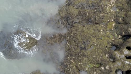 Aerial birdseye view above rocky seaweed coastline rock pool landscape moving downwards