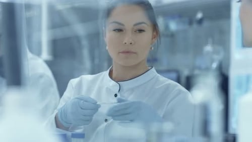 Scientists Working in a Medical Research Laboratory