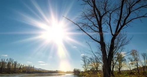 Timelapse de la rivière en été ou en automne, nature sauvage, eau bleue claire et arbres secs