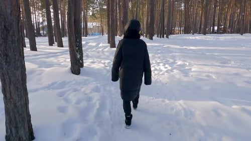 Woman is Walking in Winter Sunny Park on Pathway in Snow Among Trees Rear View