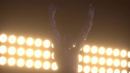 Silhouette of race car driver celebrating his victory in the race against bright lights