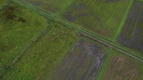 Rice Flooded fields in Japan- Aerial