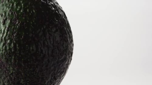 Close Up of Single Whole Avocado