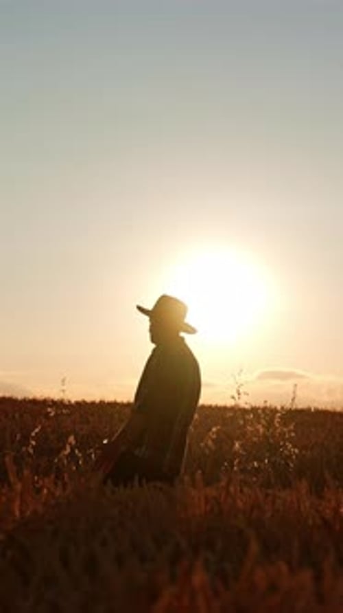 Side view silhouette of a man in hat walking by the field. Farmer in plantation at sunset.