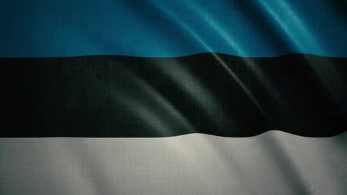 Realistic Waving Fabric Flag Background Animation