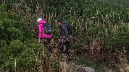 A hiker couple hiking their way up through bushy mountainous trails and aiming for their highest poi