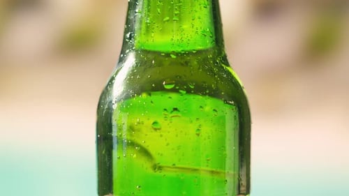 Opening Open Beer Cheers Celebration Concept Close Up Hands Holding Up Glasses of Beer of People