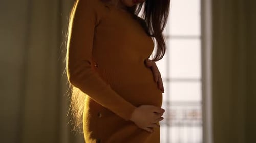 Pregnant Woman Gently Caressing Baby Bump Indoors