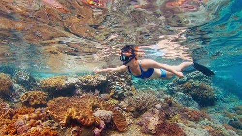 Woman in blue swimsuit snorkeling in the shallow area of tropical sea
