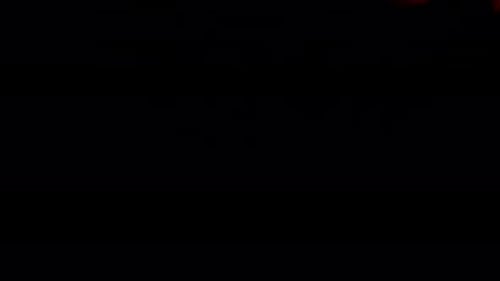 Vibrant Flames on Black Background