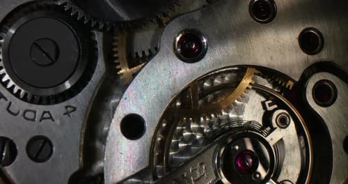 A look inside an old watch
