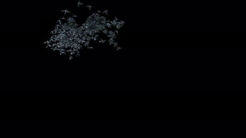 Flying Swarm of Bats Animated Element