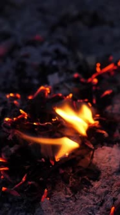Burning Embers and Wood Chips at the Burning Site Vertical Video