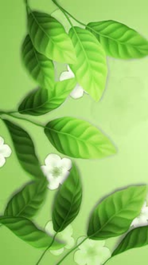 Green Monday Loop Vertical