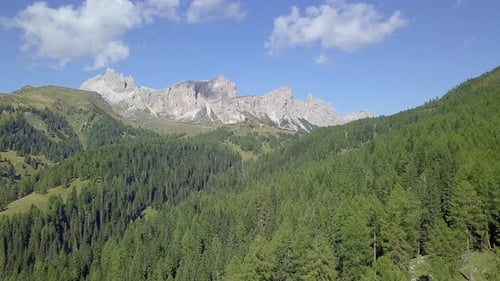 Drone fly over pines forest with mountains and blue sky