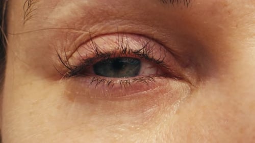 Macro détaillée en gros plan d'un œil humain pour homme ou femme Un œil bleu humain met en valeur sa complexité