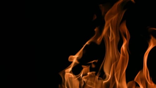 Burning Flames on Black Background Close-up