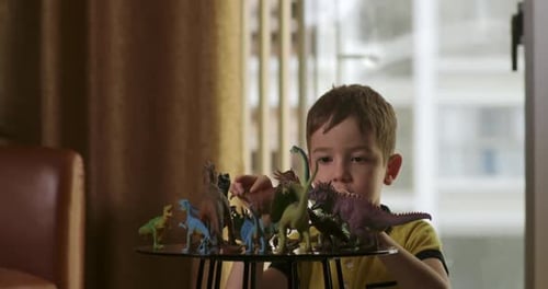 Young Boy Plays with Dinosaur Toys at Home