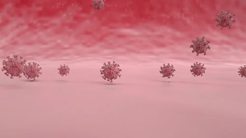 Animated Viruses Interacting with Biological Surface