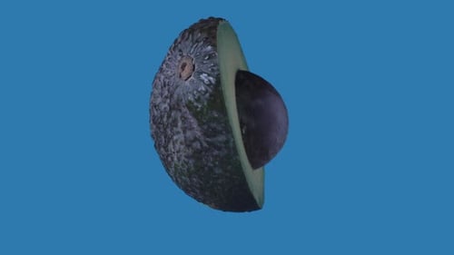 Healthy Food Advertisement Creative Concept Closeup Shot of Half of Avocado with Pit Rotating