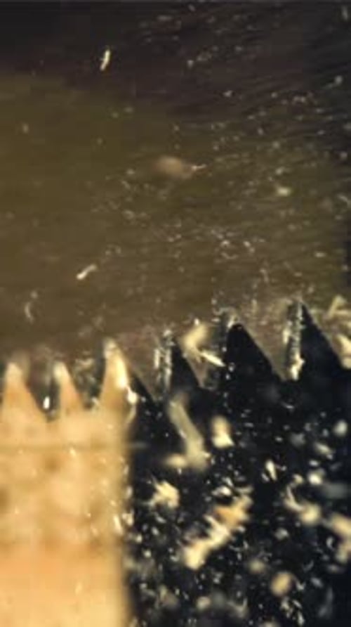 Sawing the Board Filmed on a Highspeed Camera at 1000 Fps
