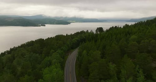Flyover Paved Road With Green Lush Trees On The West Coast, Norway. Aerial Drone Shot