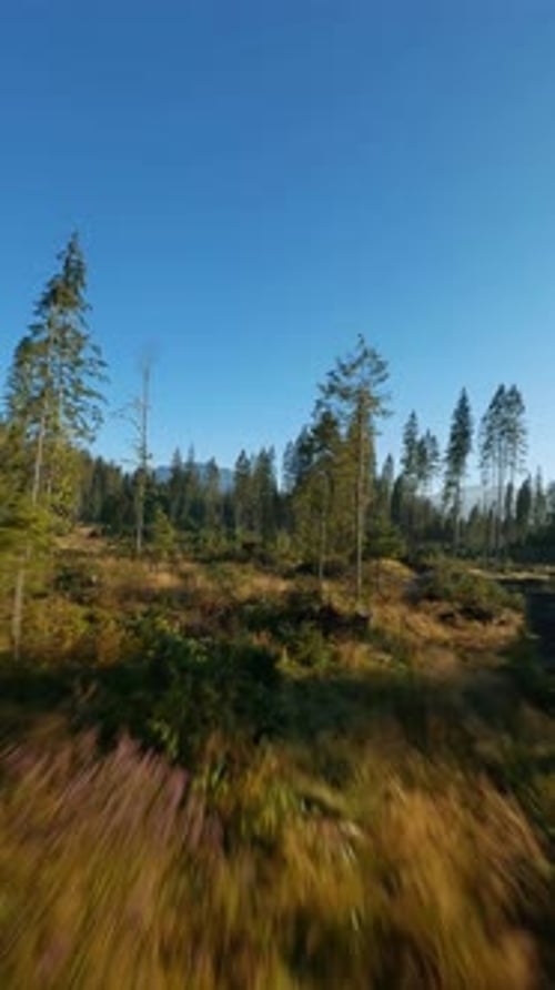 Vertical Video