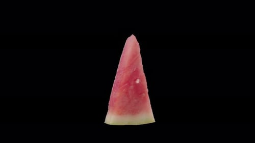 Schwimmende Wassermelonenfrucht isoliert in der Luft