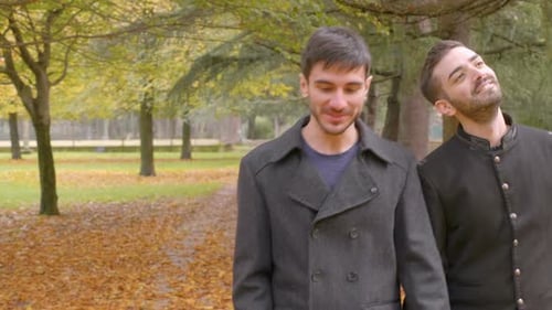 young gay couple walking in the park holding hands