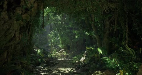 Lush Green Forest Path with Sunlight Filtering Through Trees and Foliage
