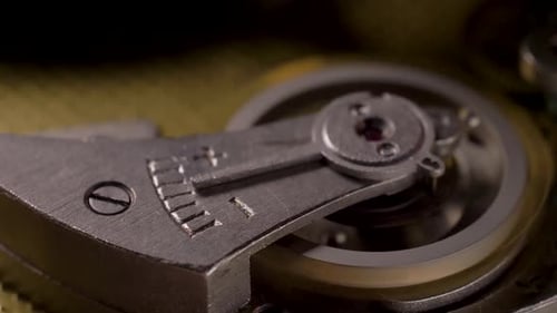 Clockwork: Inner Workings of a Watch Mechanism