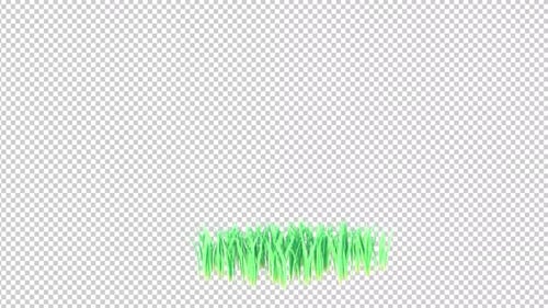 Bent Grass Growing Transparent Background