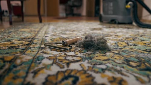 Close Up Professional Cleaning of the Apartment There is a Wool Scraper and a Wool Spool on the