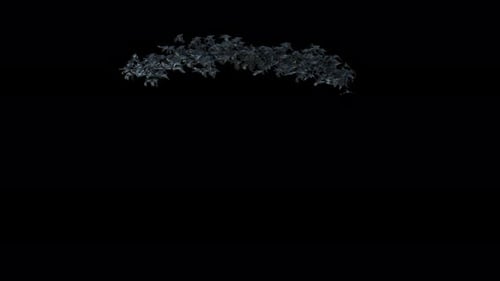 Flying Bat Swarm Alpha Channel Animation