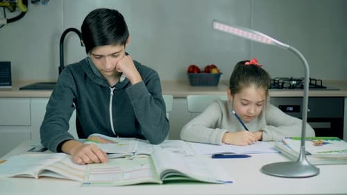 Young Cute Girl with Her Teenager Brother Boy Sitting at Home with School Books and Papers Doing