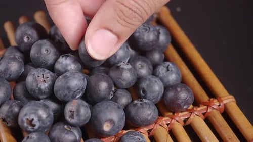 Close Up of Hand Picking Blueberries