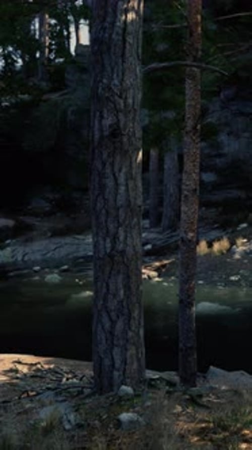 Serene Forest Creek at Twilight