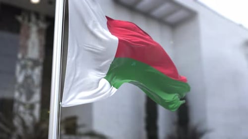 Madagascar Flag Waving 3D Realistic Animation