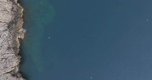 Aerial view of seagulls flying over clear blue waters, Capri, Italy.