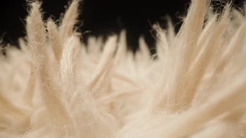 Macro Slider Shot Moving Through Dense Cream-Colored Fibers Resembling Carpet Threads or Fluffy